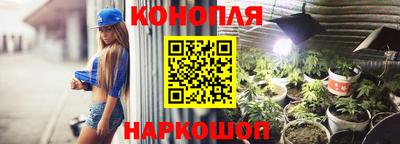 молекула духа Гатчина